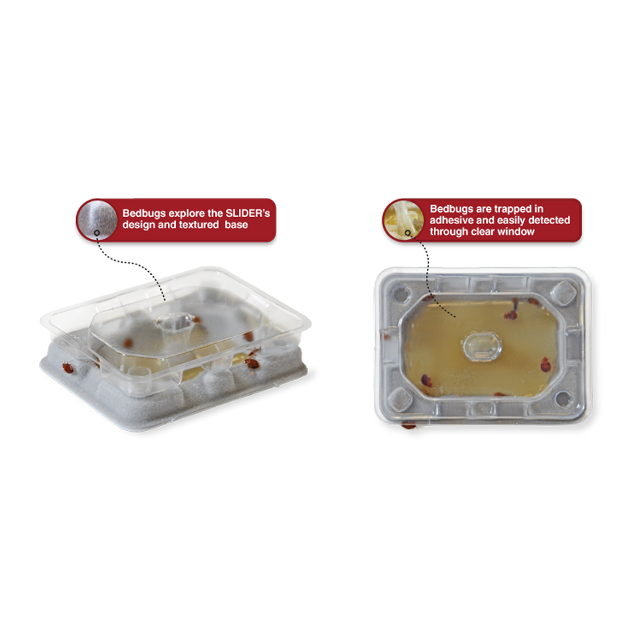 Catchmaster Bed Bug Slider līmslazdi blaktīm