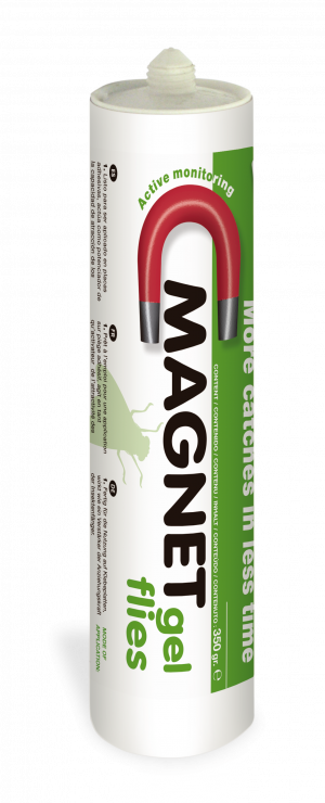 Magnet pievilinošā želēja mušām
